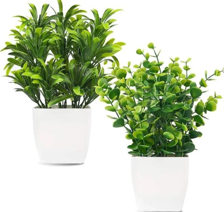 White Plastic Plant Planter