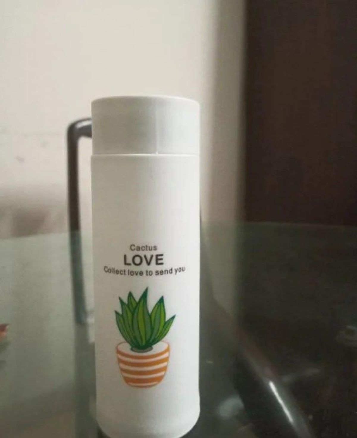500ml Insulated Water Bottle Cactus Design ABS Plastic