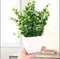 White Plastic Plant Planter