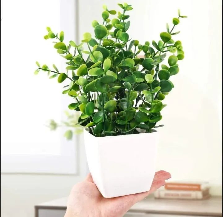 White Plastic Plant Planter