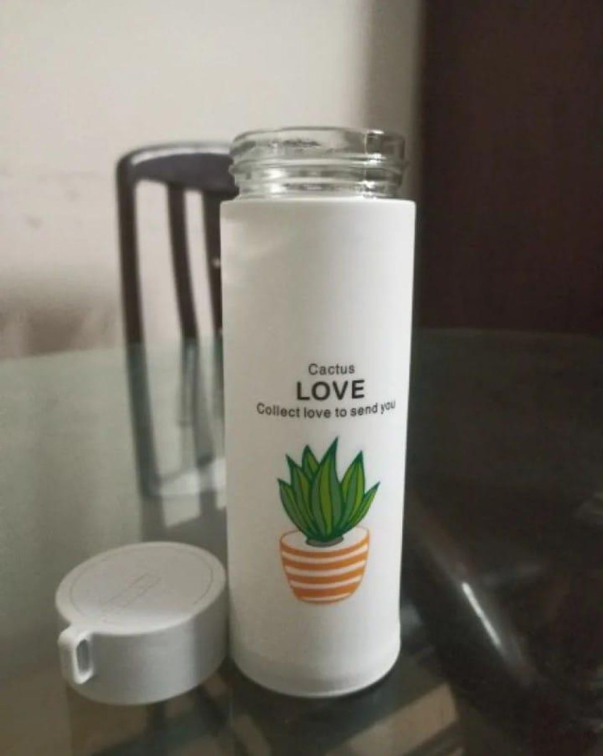 500ml Insulated Water Bottle Cactus Design ABS Plastic