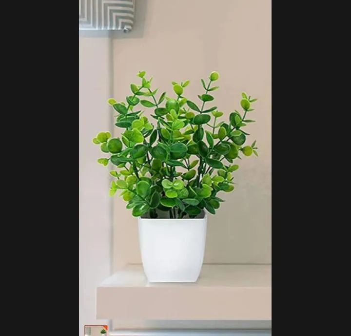 White Plastic Plant Planter